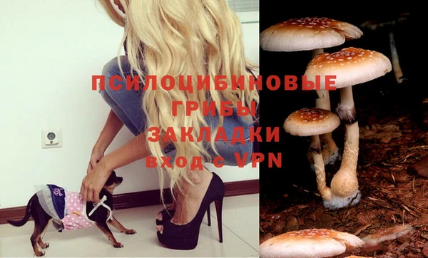 дурь Аркадак